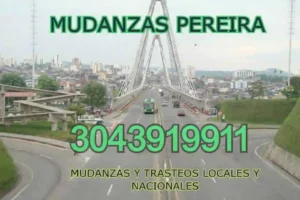 Mudanzas Pereira