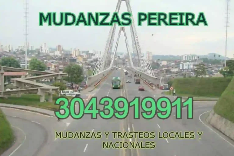 Mudanzas Pereira